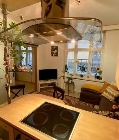Apartment Lovely In The Centre, Street Level And Inner Yard *